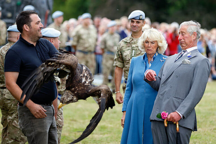 Der neue König und die neue Königin werden von einem majestätischen Weißkopfseeadler aufgeschreckt