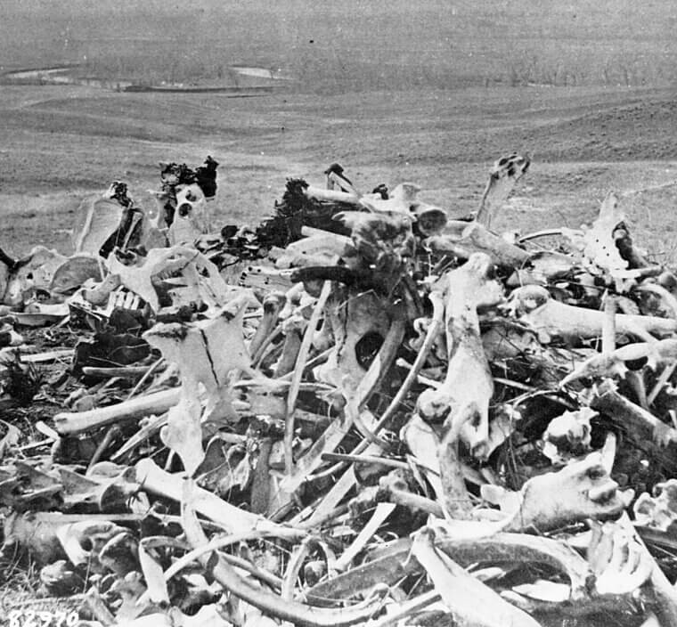 A Historical Battle - The Battle of Little Bighorn