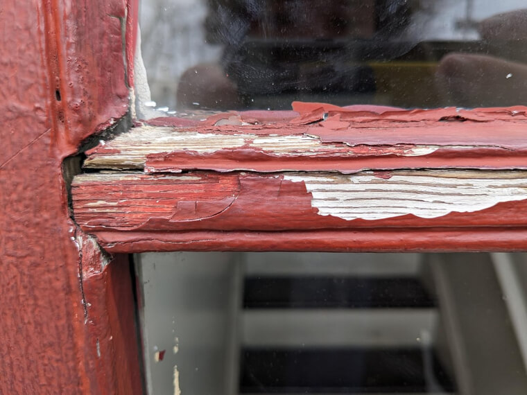 Ubiquitous Exposure to Lead in Paint and Gasoline
