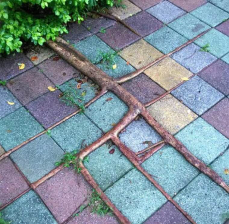 Nature At Its Best
