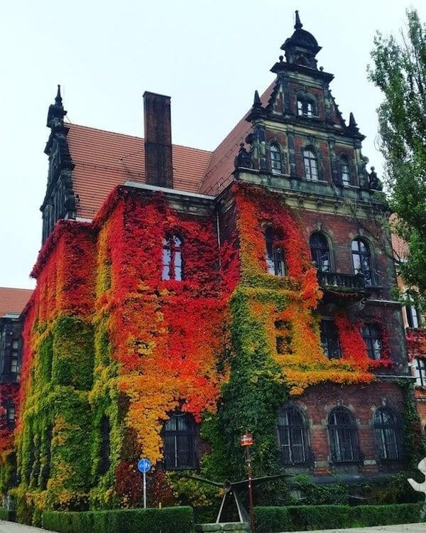 Like Something Out Of Alice In Wonderland