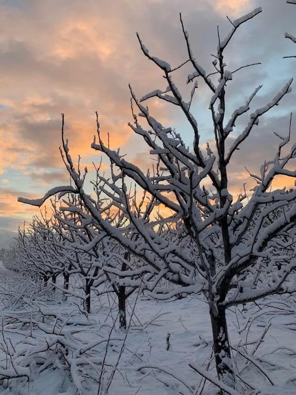 Walking In A Winter Wonderland