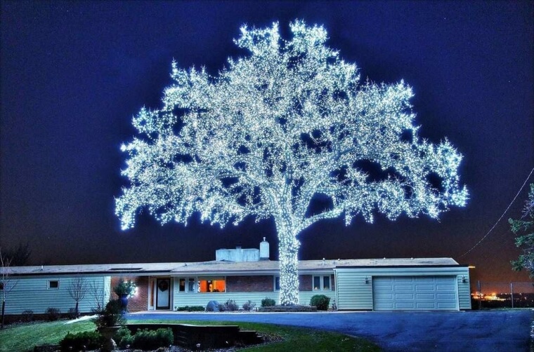 40,000 LED Lights Makes For The Perfect Tree
