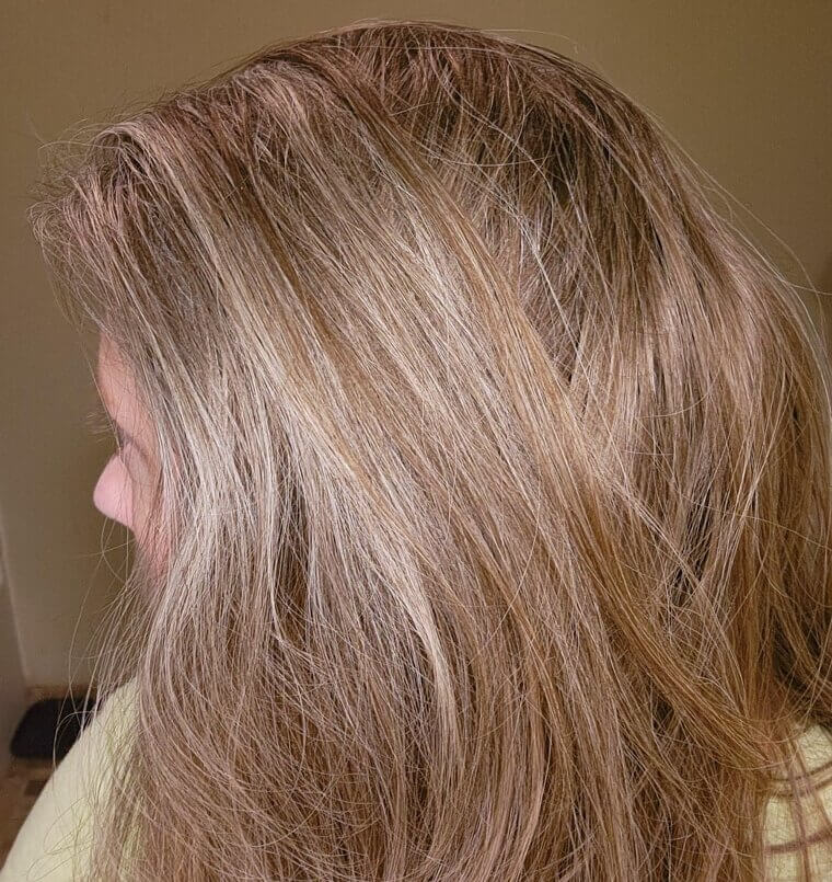 Ashy Highlights