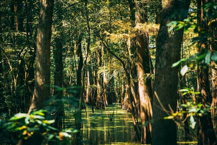 Mississippi – $290.64