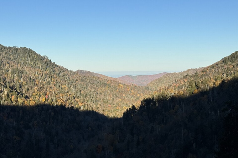 North Carolina - 36%