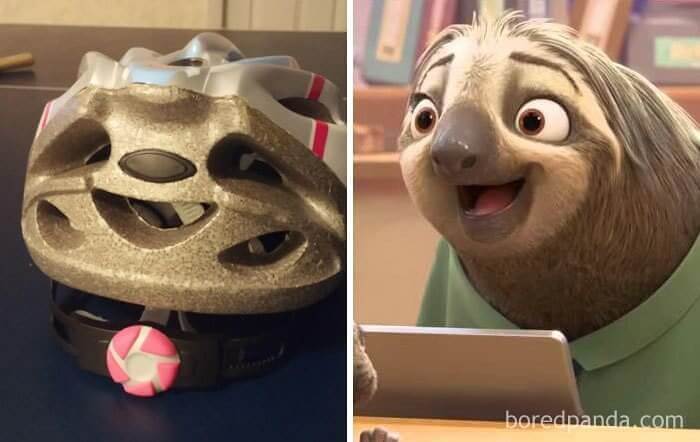 Bike Helmet That Looks Like Sloth From Zootopia