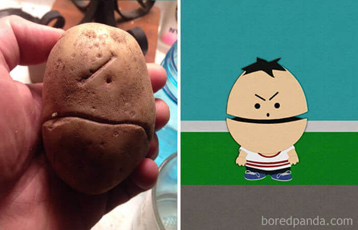 Potato that Looks Like One-Eyed Canadian From South Park