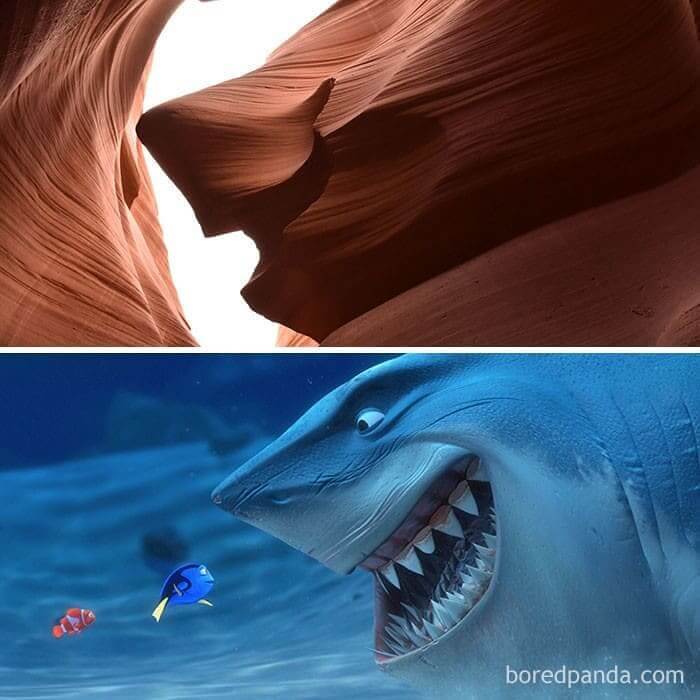 It Looks Like A Scene From "Nemo"