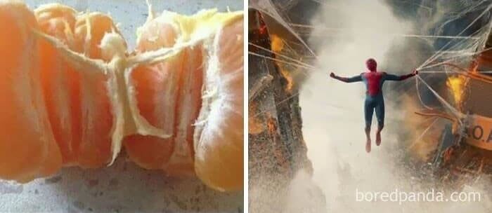 Spiderman Saving An Orange