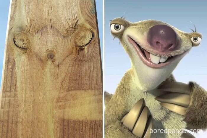 This is Sid for Sure