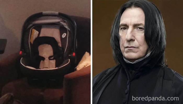 Car Seat That Looks Like Sad Severus Snape