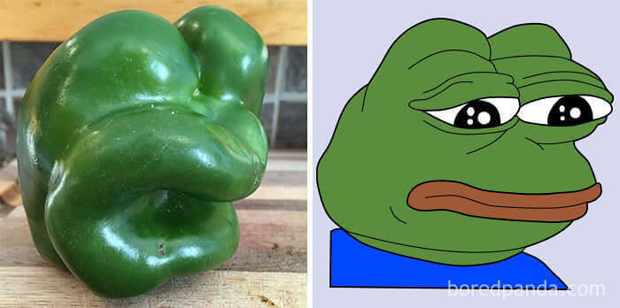 Bell Pepper That Looks Like Pepe