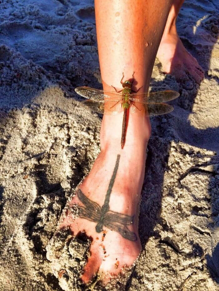 A Dragonfly Landed Next To A Tattoo Of Itself