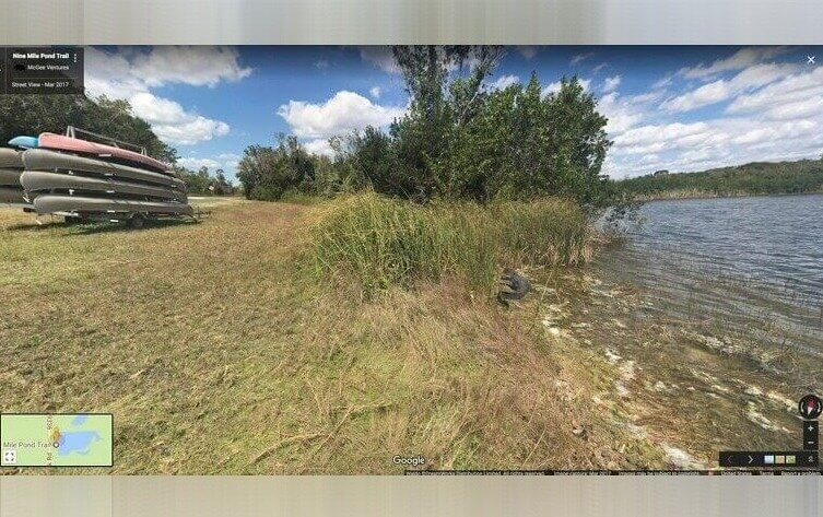 Steve Irwin Would Be Proud