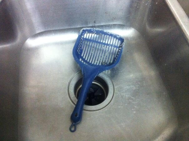 This Roommate Left Her Cat Scooper In The Sink