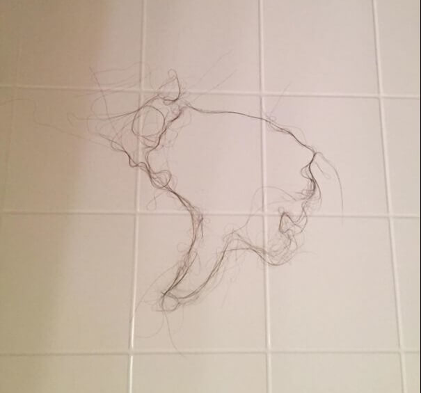 Shower Wall Hair Art When Your Wife Won't Clean Up