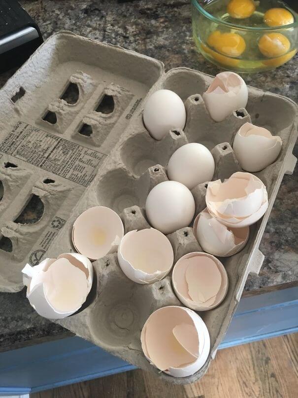 Instead Of Throwing The Egg Shells Away She Puts Them Back In The Carton