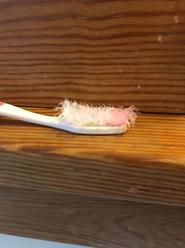 Were They Eating The Toothbrush?
