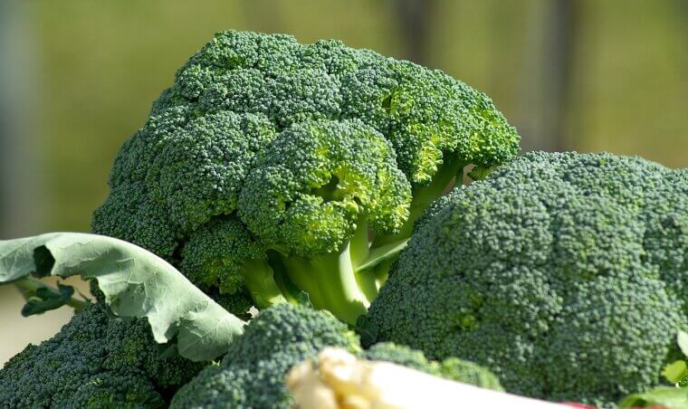 Cruciferous Vegetables