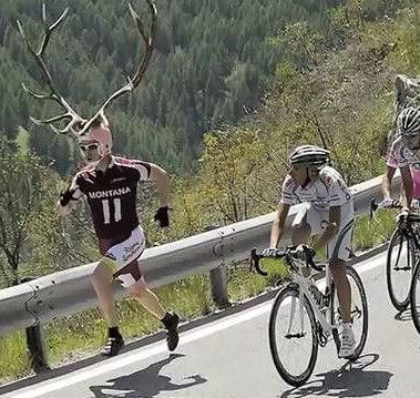 これは何らかのルールに反しているのでは...