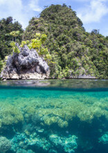 Estes são os 10 países mais biodiversos do planeta