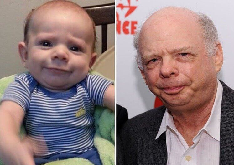 Wallace Shawn Lookalike