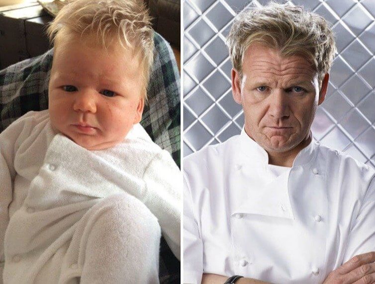 Chef Baby Ramsey