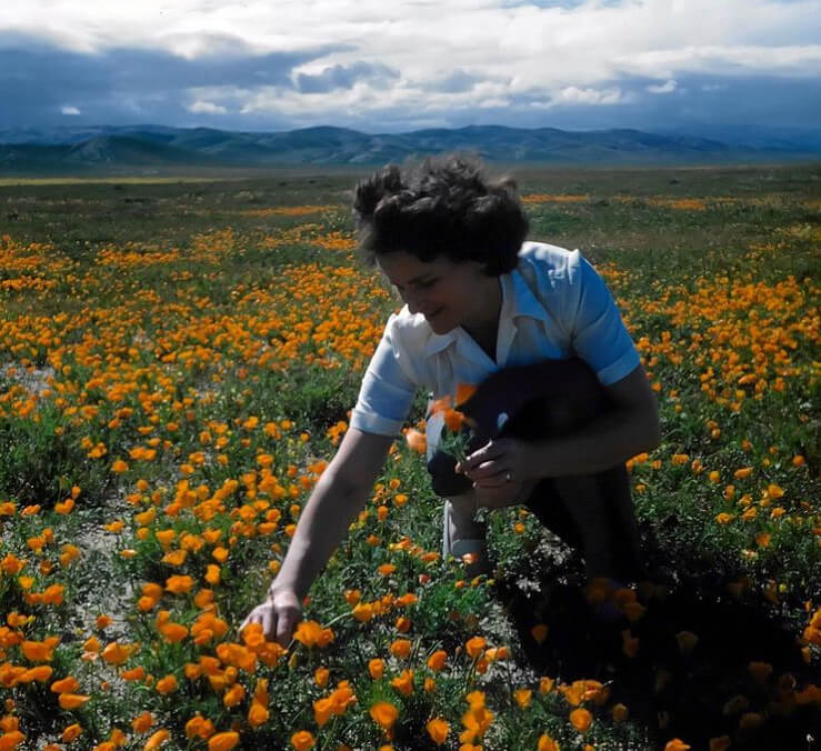 A verdadeira morte da mãe foi complicada