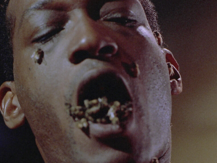 в "Кэндимене" использовались настоящие пчелы