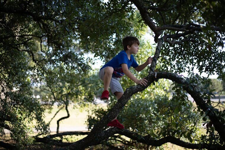 Climbing Trees Without Supervision