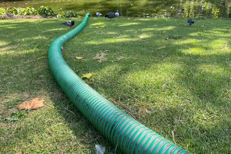 Drinking From the Garden Hose
