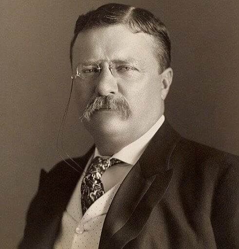 Theodore Roosevelt - IQ of 153