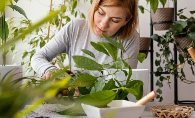 Understanding the Foundations of Sustainable Living