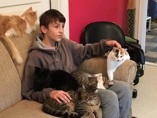 Entouré de tous les chats