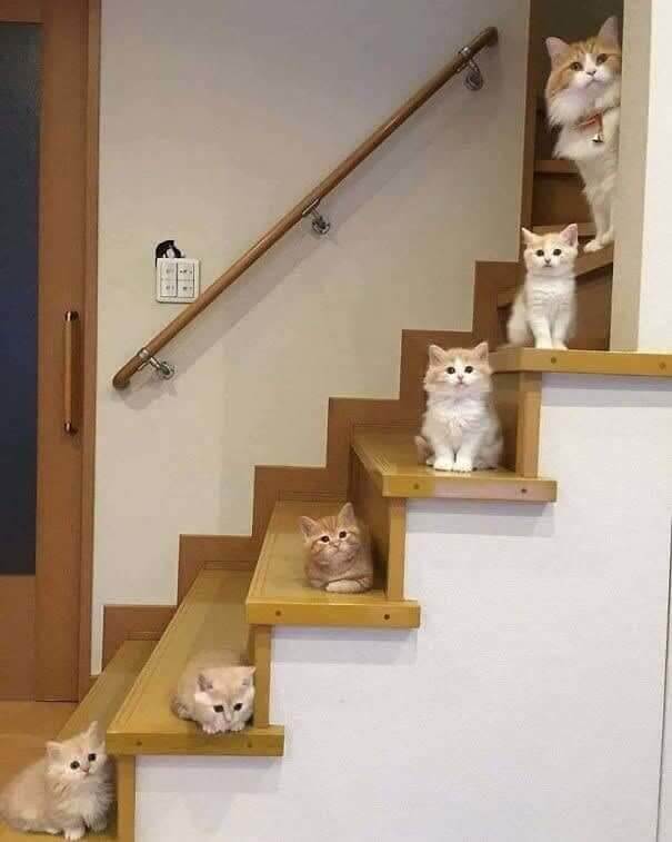C'est le moment de prendre une photo