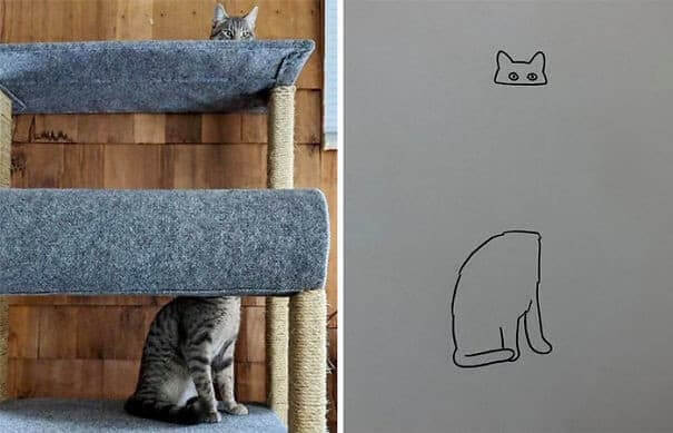 L'arbre à chat magique