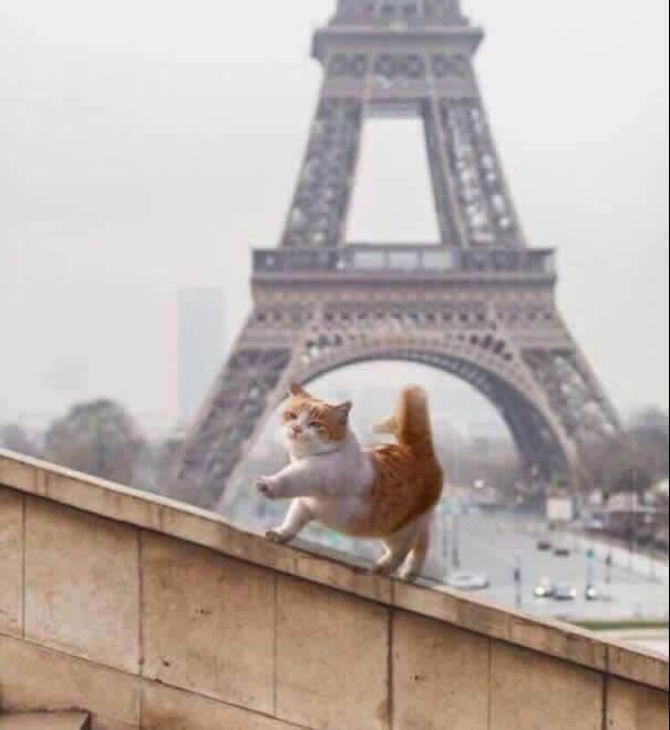 Promenade à côté de la Tour Eiffel