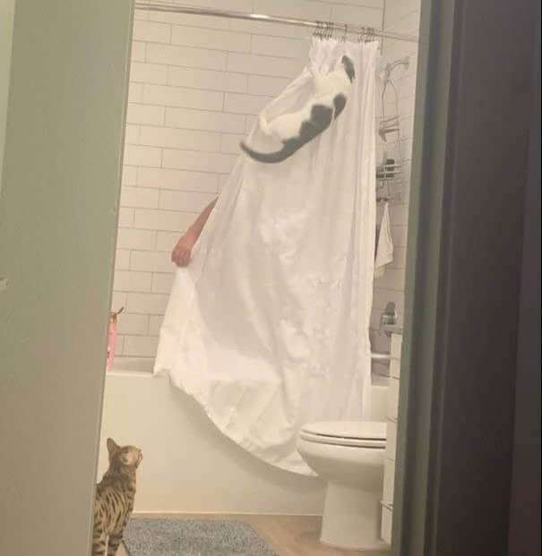Tu n'es même pas en sécurité dans la douche