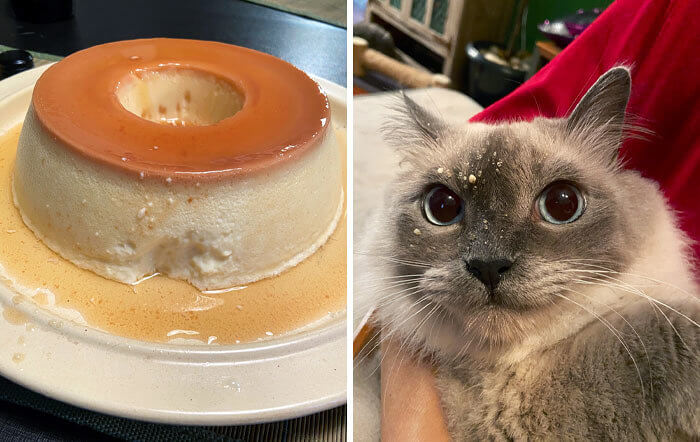 The Art Vs the Artist