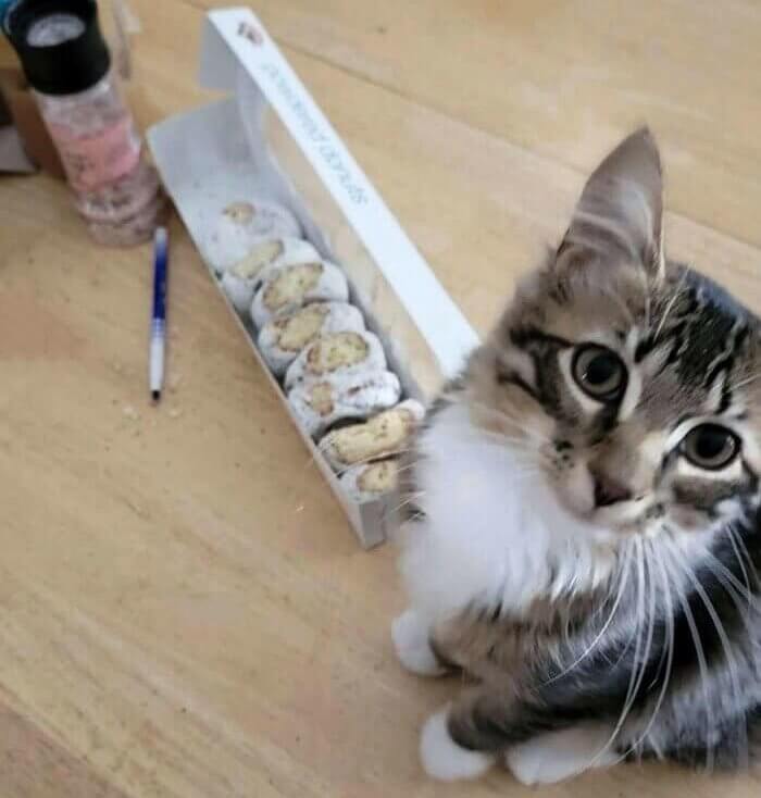 Quality Check Complete