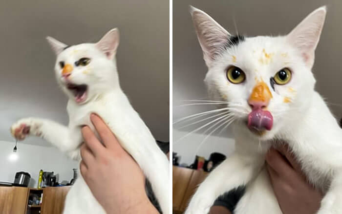 He Knows Where You Sleep