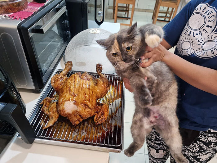 Not a Morsel of Remorse