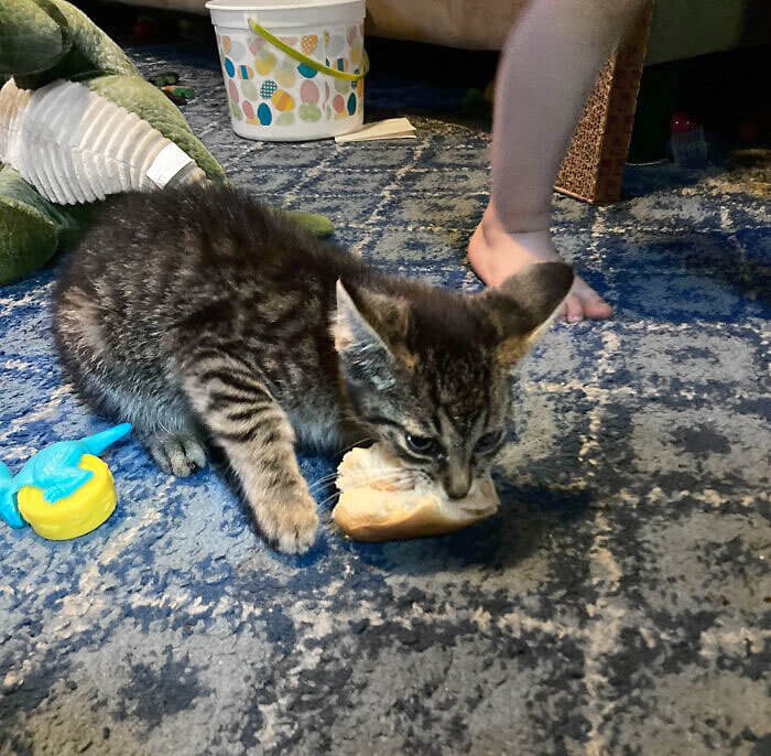 A Stone Cold Criminal