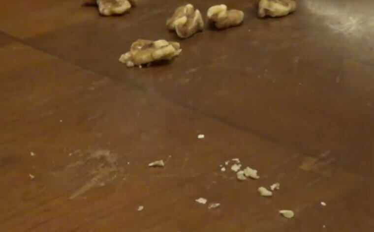 Rubbing a Walnut on Scratched Wood