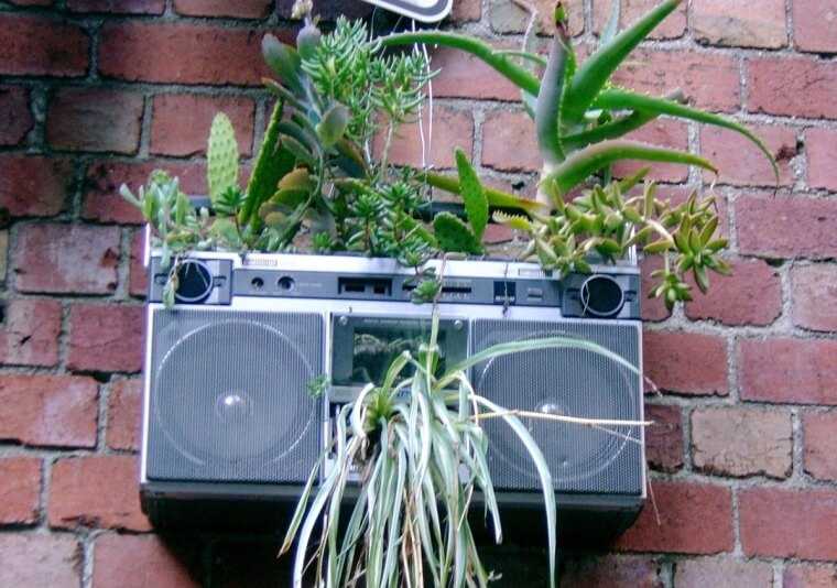 CD Planter