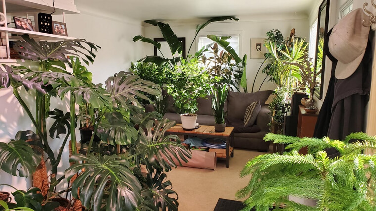 Home Design Features That Look Great on Instagram but Not in Real Life