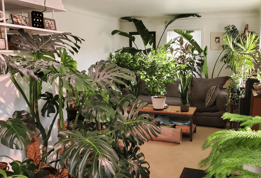 Home Design Features That Look Great on Instagram but Not in Real Life