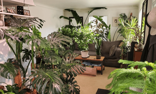 Home Design Features That Look Great on Instagram but Not in Real Life