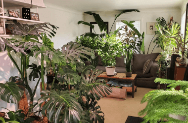 Home Design Features That Look Great on Instagram but Not in Real Life